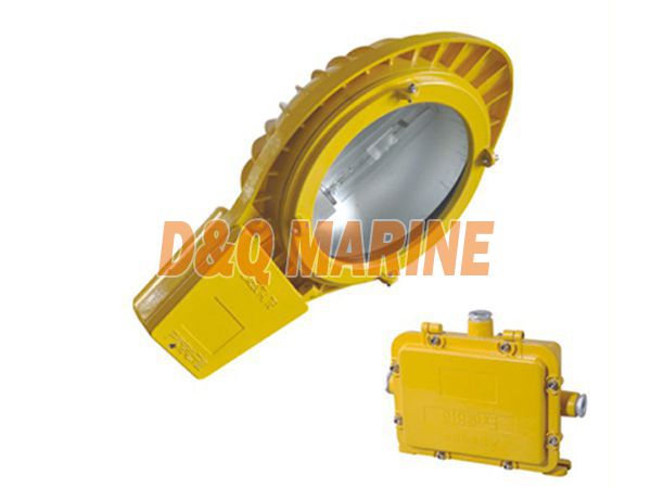 /photo/BLC8610-explosion-proof-road-light.jpg