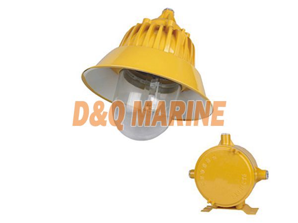 BPC8700 Explosion proof Platform Light