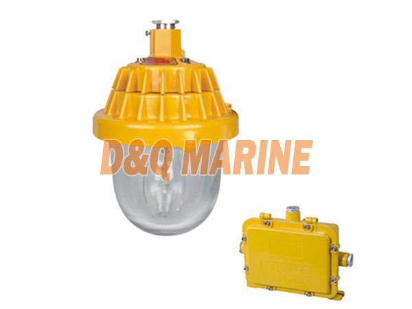 BPC8720 Explosion proof Platform Light