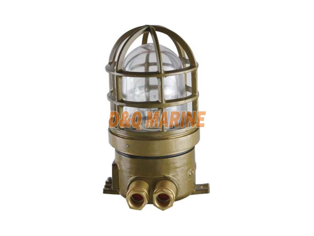 CFD1 Explosion Proof Light