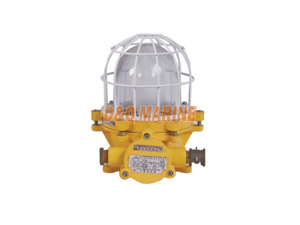 CFD2a Explosion Proof Light