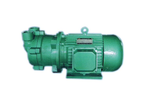 /photo/CSK-Series-Marine-Water-Circulation-Vacuum-Pump-1.jpg