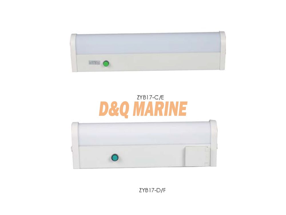 ZYB17-C/D/E/F Fluorescent Mirror Light