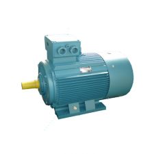 Y-H Series Three-phase Marine Motor