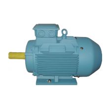 M2E-H Series High-Efficiency Three-phase Marine Motor