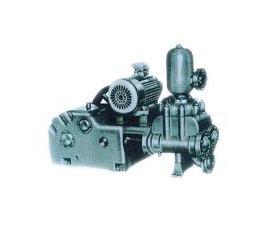 CDS Series Marine Electrical Reciprocating Pump