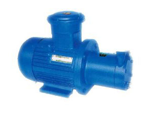 CWB Series Marine Magnetic Drive Vortex Pump