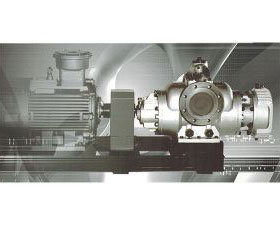 HW and HM Series double screw pump