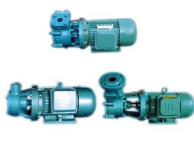 Model W Single Stage Vortex Pump