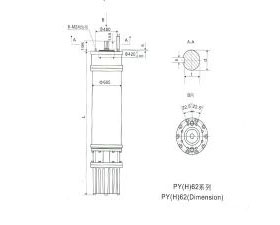 PY(H)62 Series water(seawater) submersible electric motors