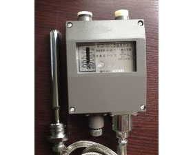 WTZK-50-C Temperature Controller