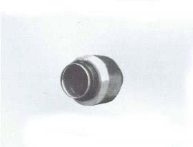 Check Valve