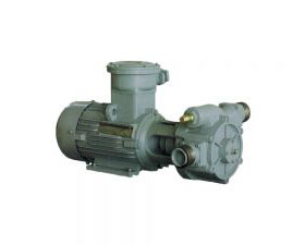 DYB-300/400 Series Vane Pump