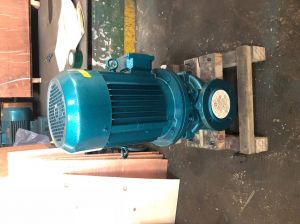 Sea water pump