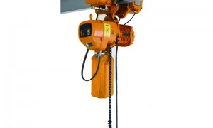 0.5-01/01-01/02-01/03-01 Running Type Hoist