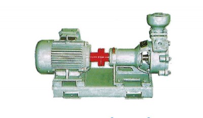 1WZ-0.9 Series marine vortex pump thumbnail 1