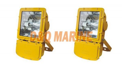 BFC8110 Explosion Proof Flood Light thumbnail 1