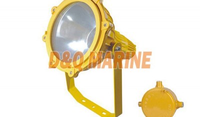 BFC8120 Explosion proof Infield Floodlight thumbnail 1