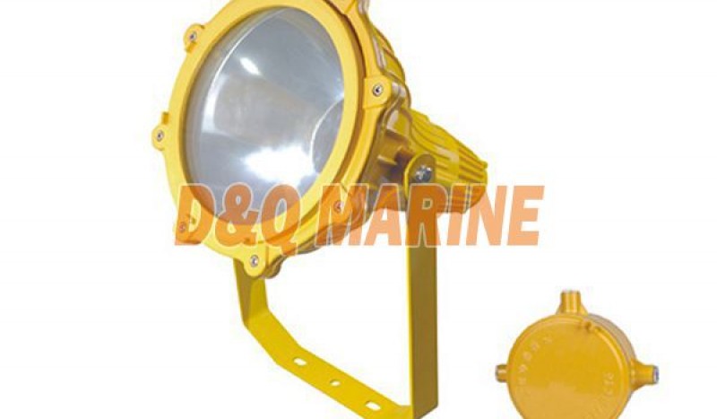 BFC8120 Explosion proof Infield Floodlight - Image 1