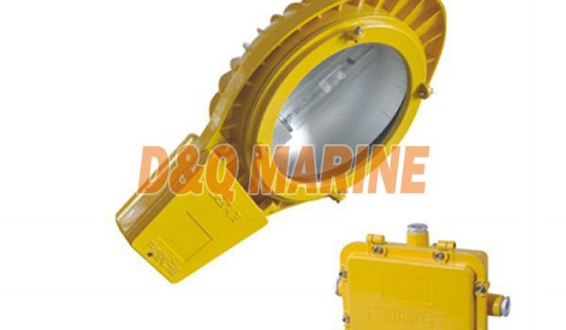 BLC8610 explosion proof road light(Street) - Image 1