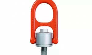BLT082 Heavy Duty Hoist Ring