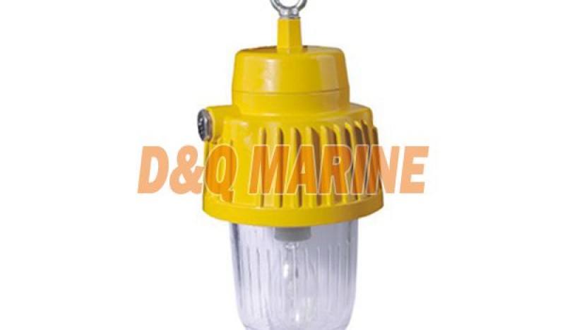 BPC8730 Explosion proof Platform Light - Image 1