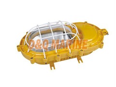 BPC8750 Explosion proof Platform Light