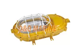 BPC8750 Explosion proof Platform Light