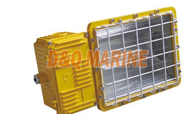 BTC6150 Explosion Proof Flood Light - Image 1