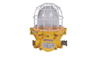 CFD2a Explosion Proof Light thumbnail 1