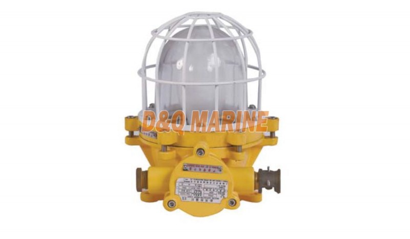 CFD2a Explosion Proof Light - Image 1