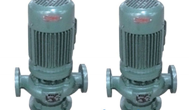 CGW Series sewage pump - Image 1