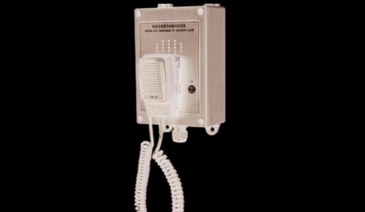 CHJ-1F-GF Wall Mounted Central Responder thumbnail 1