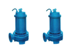 CQL(CQLW) Series Marine Vertical Submersible Electricity Pump