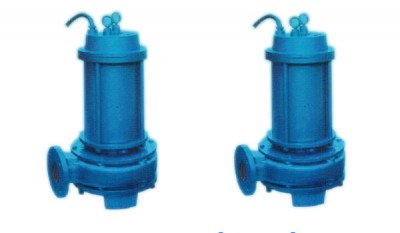 CQL(CQLW) Series Marine Vertical Submersible Electricity Pump thumbnail 1