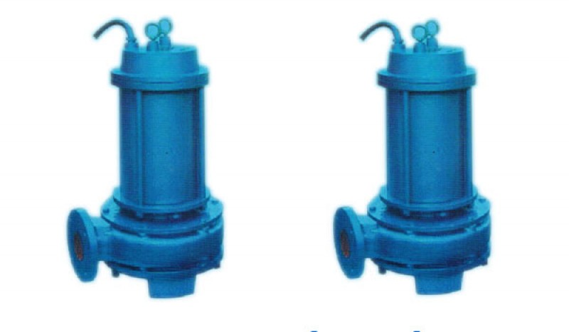 CQL(CQLW) Series Marine Vertical Submersible Electricity Pump - Image 1