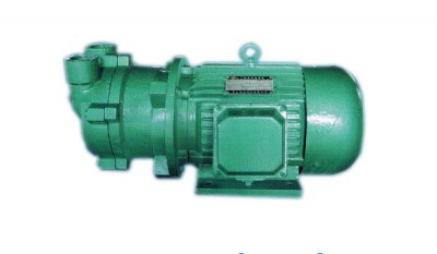 CSK Series Marine Water Circulation Vacuum Pump thumbnail 1