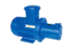 CWB Series Marine Magnetic Drive Vortex Pump