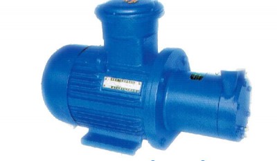 CWB Series Marine Magnetic Drive Vortex Pump thumbnail 1