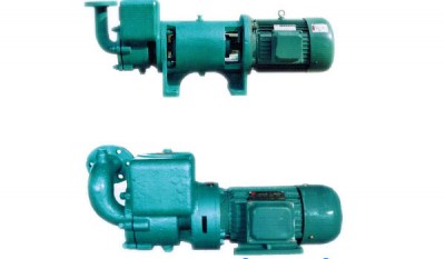 CWX Series Self-suction Centrifugal Whirlpool Pump thumbnail 1