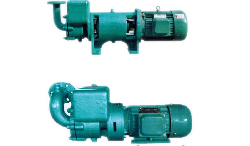 CWX Series Self-suction Centrifugal Whirlpool Pump - Image 1
