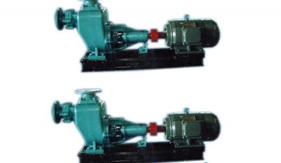 CWZ Series Marine Horizontal Self-suction Centrifugal Pump thumbnail 1