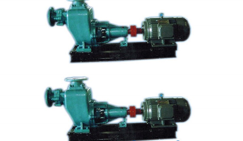 CWZ Series Marine Horizontal Self-suction Centrifugal Pump - Image 1