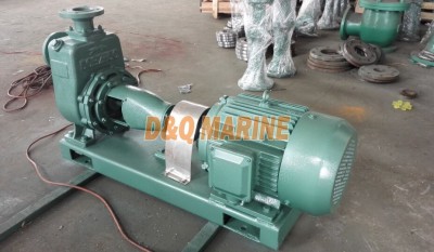 CWZ self-priming pump thumbnail 1