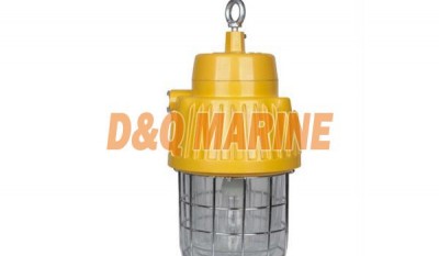 DGS70/127B(B) Mining Flameproof Floodlight thumbnail 1