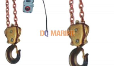 DHBY Explosion-Proof Electric Chain hoist thumbnail 2