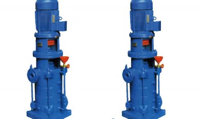 DL DLR Series Vertical Multistage Centrifugal Pump thumbnail 1