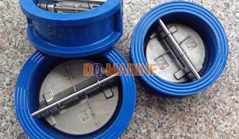 Dual Plate Check Valve - Image 1