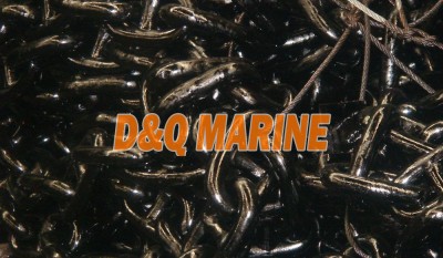 Grade 2 36mm Stud Link Anchor Chain thumbnail 1