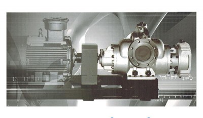 HW and HM Series double screw pump thumbnail 1